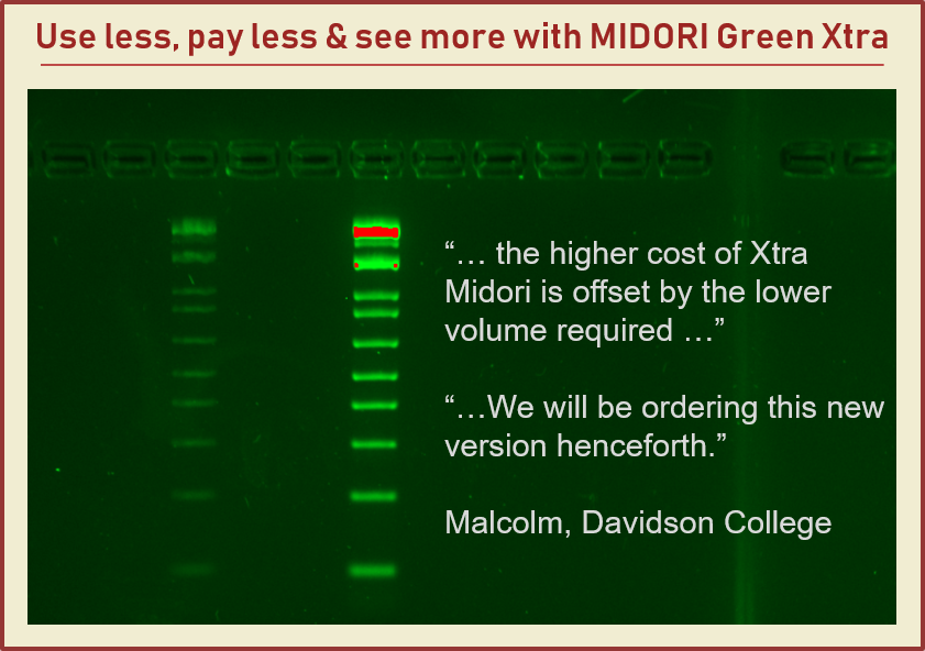 Midori-Green-Xtra-Cost-Adv