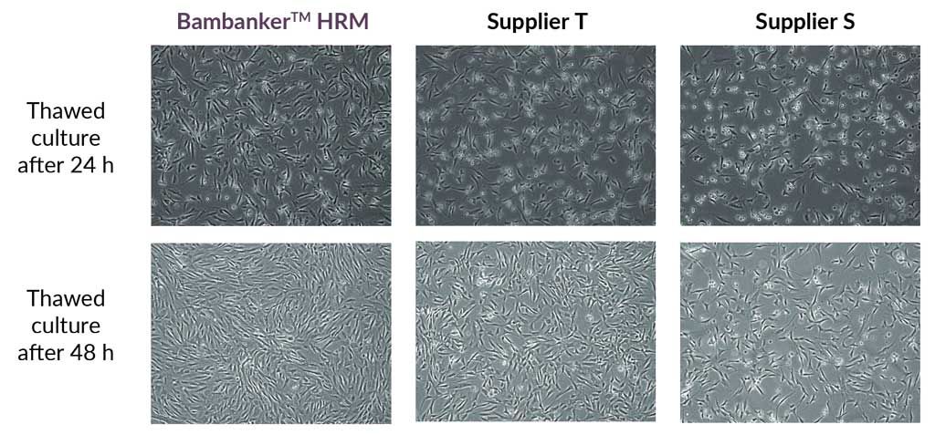 Bambanker-HRM-Results_02